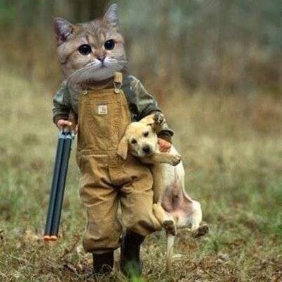 Profile Picture of Norma Pando (@PandoNorma) on Twitter