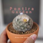 Profile Picture of เพาะรัก By Pontira Garden (@pontiragarden) on Instagram