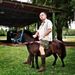 Profile Picture of Bob Coulter (@bobcoulter) on Pinterest