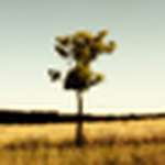 Profile Picture of Ari Rosenthal (@colournoir) on Flickr