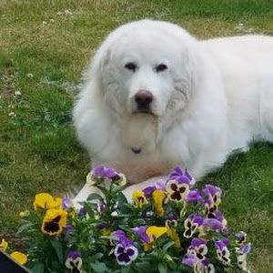 Profile Picture of Starr Hendricks (@starrhendricks) on Tiktok