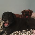 Profile Picture of Teddy/Roo Sneed (@teddyroosneed) on Instagram