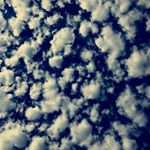 Profile Picture of Hope Shearer (@photography_kittens2000) on Instagram