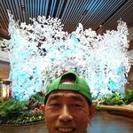 Profile Picture of Jeffrey Koh (@jeffrey.koh.758) on Instagram