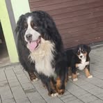 Profile Picture of Adam Pajor (@adam.pajor.3726) on Facebook