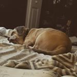 Profile Picture of Elias Webb (@wite_boi_eli) on Instagram