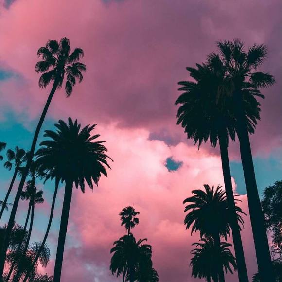 Profile Picture of Xavier Bell (@x_bell) on Poshmark