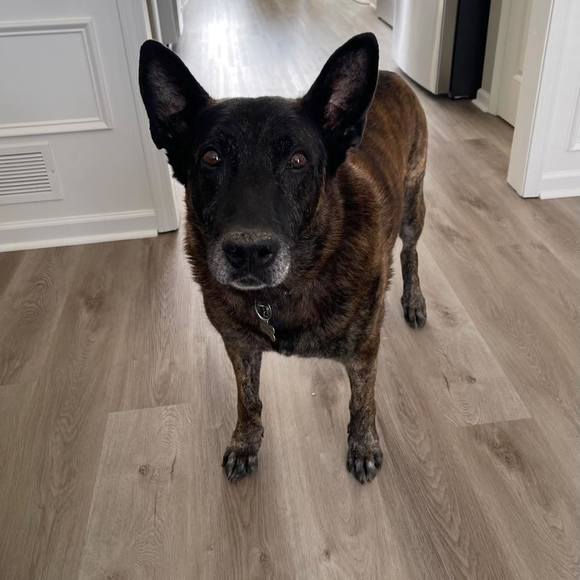 Profile Picture of Richard Shofstall (@rshofstall) on Poshmark