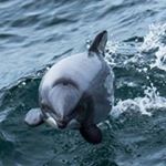 Profile Picture of David Ankeny (@dcankeny) on Instagram