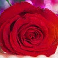 Profile Picture of Richard Matteo  (@richard-matteo-1) on Quora