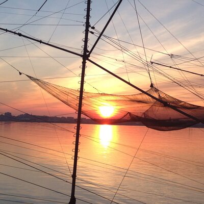 Profile Picture of Daniela Galante (@dany_galante) on Twitter