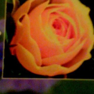 Profile Picture of Candace Forehand (@candace.forehand.14) on Facebook