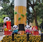 Profile Picture of Po Fong Seto (@Po-Fong-Seto) on Facebook
