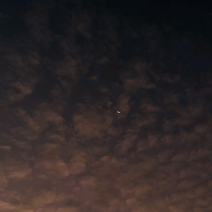 Profile Picture of ᥫ݂᭡ (@gyucoffee_) on Tiktok