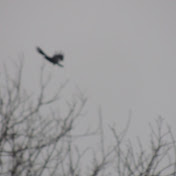 James Tolliver - Youtube Profile Picture of James Tolliver (@jamestolliver7413) on Youtube