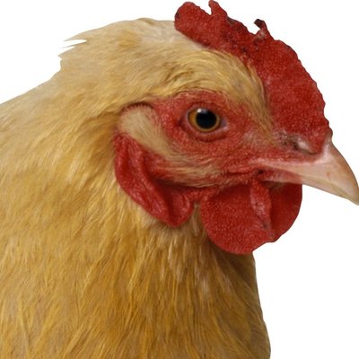 Profile Picture of Stephen Bard (@ItxHurtsxWhenIP) on Twitter