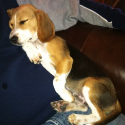 Pam Mueller - Twitter Profile Picture of Pam Mueller (@queenmalibee) on Twitter