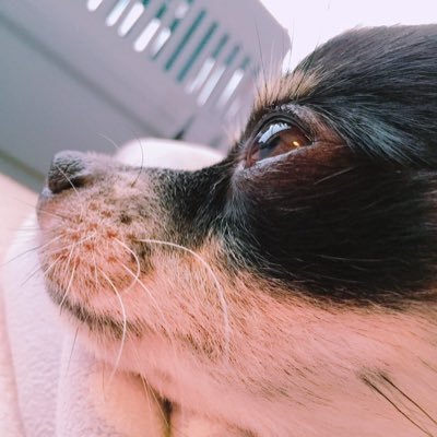 Profile Picture of 森口真行 (@Kun0511Ma) on Twitter