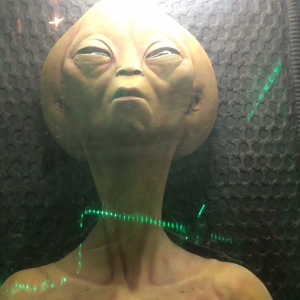 Profile Picture of Erik Adolfsson (Area 51 Alien Gang) (@erikadolfsson1) on Twitter