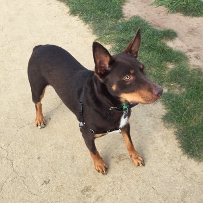 Profile Picture of Joseph Epstein (@JosephEpstein12) on Twitter