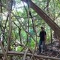 Profile Picture of Vikas Nainwal (@vikas-nainwal) on Quora