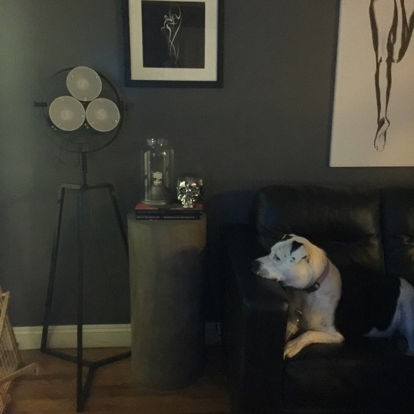 Profile Picture of Lisa Boudreault (@boudrelc) on Poshmark