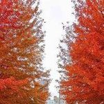 Profile Picture of Randall Rhodes (@mandazumhagendf8y8aqc) on Instagram