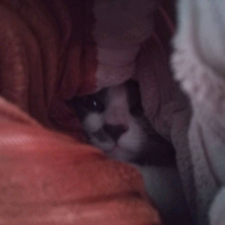 Profile Picture of Anwar López (@dkll143) on Tiktok