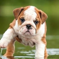 Profile Picture of Katelyn Booth (@katelyn-booth-4) on Quora