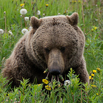 Profile Picture of Robert Stupka (@rob stupka) on Flickr