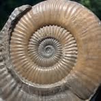 Profile Picture of James Cliff (@James-Cliff) on Facebook