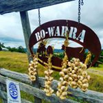 Profile Picture of Belinda Robertson (@bowarra_biodynamic) on Instagram