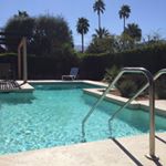 Profile Picture of Dawn Malcolm (@hurricanehalfpint) on Instagram