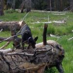 Profile Picture of David Robertson (@david_robertson99) on Instagram