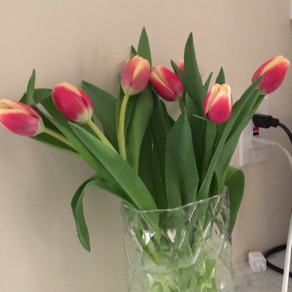 Profile Picture of Jeremy Turner (@jturnerdc) on Poshmark