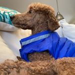 Profile Picture of Dave Leach (@dave.leach.1766) on Instagram