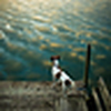 Profile Picture of Mohammad Kamal (@Mohammad Kamal) on Flickr