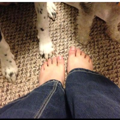 Profile Picture of Holly Larsen (@thehollystar) on Twitter