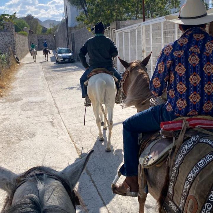 Profile Picture of Pedro Botello (@pedro.botello37) on Tiktok