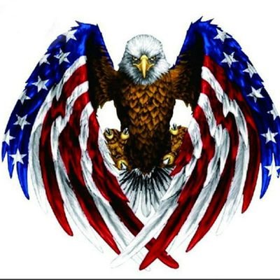 Profile Picture of President-Elect Jeffrey Warfield🇺🇸🇺🇸 (@Jeff_Warfield1) on Twitter