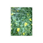 Profile Picture of James Chavez (@hinkendo) on Instagram