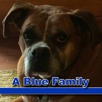 Profile Picture of Nanci Negri (@nanci-negri) on Quora