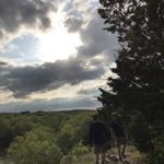 Profile Picture of Joseph Diller (@joey.d7) on Instagram