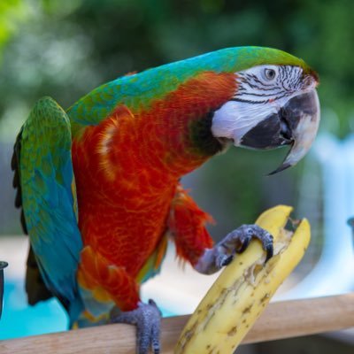 Profile Picture of Mark Bagwell (@markbagwell) on Twitter