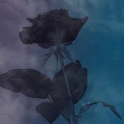 Profile Picture of Rylee Reid (@ryleereid7998) on Youtube