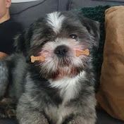 Otis NL - Youtube Profile Picture of Otis NL (@otisnl8612) on Youtube