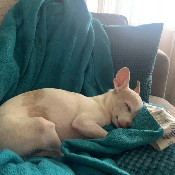 Profile Picture of Sade Mitchell (@sade48) on Poshmark