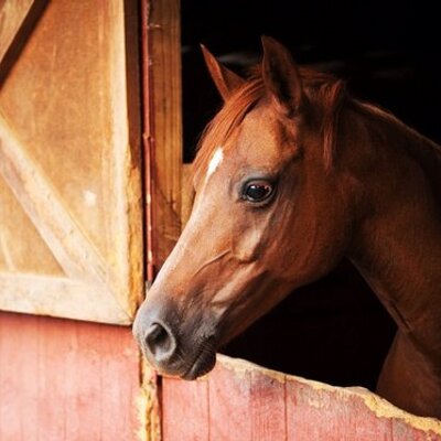 Profile Picture of Jacob Mayorga (@willyz1234) on Twitter