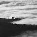 Profile Picture of DARRYL COLEY  (@darrylswcoleya) on Pinterest
