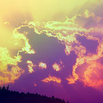 Profile Picture of Tim Li (@txmanlyt) on Flickr